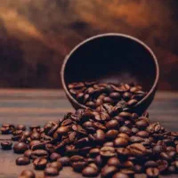 استخدام نیرو ساده قهوه فروشی