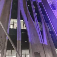 اجرای نماهای سنگی|خدمات پیشه و مهارت|چالوس, |دیوار