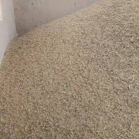 جو محلی