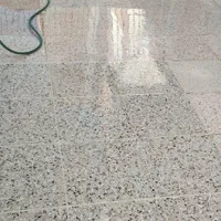 کف سابی سنگ سابی|خدمات نظافت|اصفهان, باغ فدک|دیوار