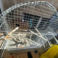 دوچرخه قفس عروس هلندی و... فوتبال دستی|دوچرخه، اسکیت، اسکوتر|اندیشه, شهرک صدف|دیوار