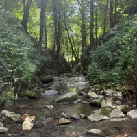 ورزش گروهی دویدن و کوهنوردی