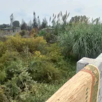 فروش زمین195متری/قابل ساخت/سند تک برگ