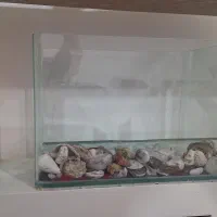 آکواریوم در حد نو