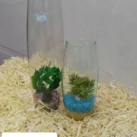 ماهی قرمز عمده خرده|ماهی|اردبیل, |دیوار