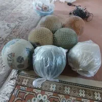 6عددتوپ فتوال سالم سالم