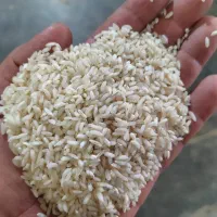 برنج عنبربو دانه بلند