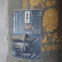 قالی طلا کوب ۷۰۰ شانه|فرش|اندیمشک, |دیوار