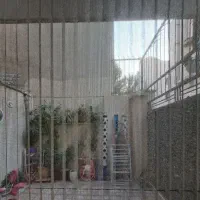 اجاره ۵۰متر بازسازی شده تمیز گلبرگ صفایی گلشن دوست|اجارهٔ آپارتمان|تهران, سبلان (لشگر)|دیوار