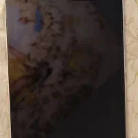 ipad mini 6 256 GB Cellular نو|تبلت|تهران, شهرک غرب|دیوار