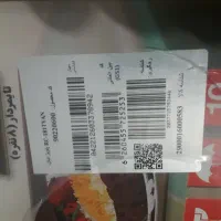 پلوپز تایمردار ۸نفره پارس خزر مدل ۱۸۱تیان