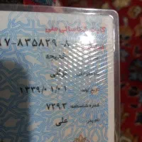 گمشده شناسنامه وکارت ملی