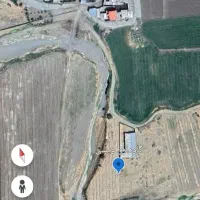 دامداری صنعتی 800راس