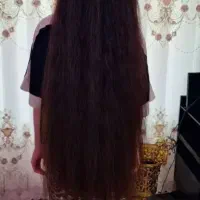 کلبه مو