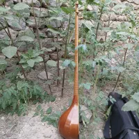 سه تار