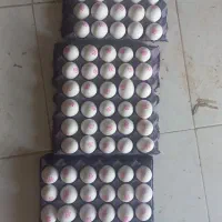 شغل فروشنده