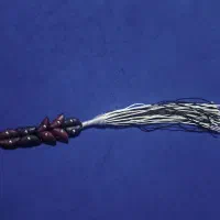 تسبیح هسته خرما|کلکسیون اشیاء عتیقه|رشت, معلولین|دیوار