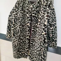 پالتومانتو