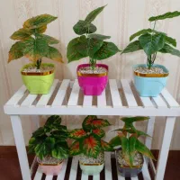 گل مصنوعی، گلدان تزیینی، هدیه روز مادر و زن|گل مصنوعی|تهران, اسفندیاری|دیوار