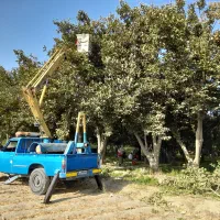 اجاره نیسان بالابر کابین دار سبدار شهریار|خدمات حمل و نقل|شهریار, شهریار|دیوار