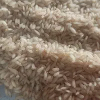 فروش برنج عنبر بو  درجه یک