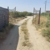 زمین باغ|فروش زمین و ملک کلنگی|قم, محمد آباد|دیوار