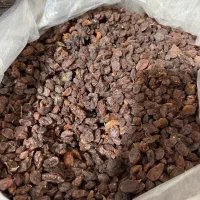 کشمش افتابی|خوردنی و آشامیدنی|نجفآباد, باغ ملی|دیوار