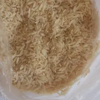 برنج هاشمی درجه یک معطر سالم کوجنق|خوردنی و آشامیدنی|مشگین شهر, |دیوار