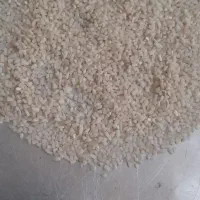 برنج سالم و نیم دانه محلی هر کدام ۱۰۰ کیلو برافروش