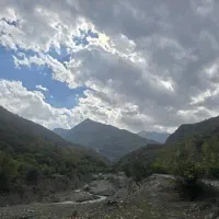 مشارکت-براصلی-طبیعت-نزدیک-میدان-مدرس
