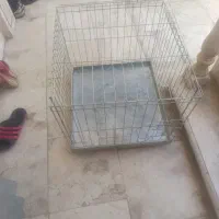 قفس