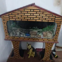 آکواریوم با تمام متعلقات