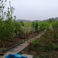 فروش  و معاوضه باغ  روستای زواریان|فروش خانه و ویلا|قم, میرزائیه|دیوار