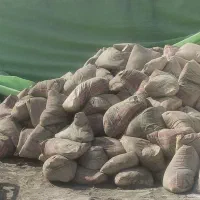 فروش مصالح ساختمانی