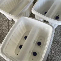 گلدان پلاستیکی نرده ای|گل و گیاه طبیعی|رشت, پل تالشان|دیوار