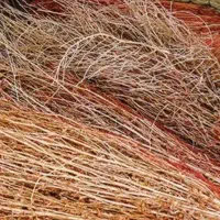 تعداد ۱۰۰ عدد جارو محلی با دسته های بزرگ