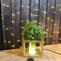 چراغ چهارضلعی|لامپ و چراغ|نیشابور, شهرک فرهنگیان|دیوار