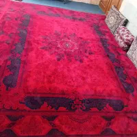 ۲ تخته فرش ۱۲ متری|فرش|مشهد, کوشش|دیوار