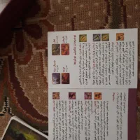 بازی فکری مهیج|اسباب‌‌بازی|بجنورد, |دیوار