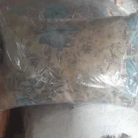 بالشت