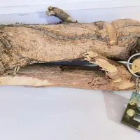 جاکلیدی رزینی مدل دریا