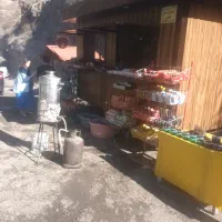 کارگر ساده رستوران ودکه