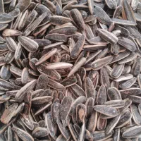 تخمه و کشمش|خوردنی و آشامیدنی|اندیشه, اندیشه فاز ۱|دیوار