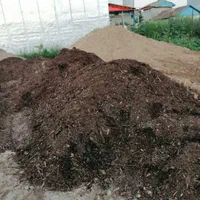 خاک برگ پوسیده