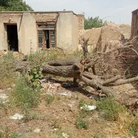 زمین ۳۰۰ متری