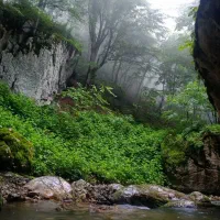 سیم کارت 09155855754