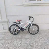 دوچرخه سایز 20|دوچرخه، اسکیت، اسکوتر|گنبد کاووس, |دیوار