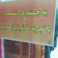 فروشنده خانوم