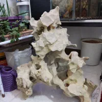 لوازم آکواریوم ماهی صخره طبیعی|ماهی|قزوین, |دیوار