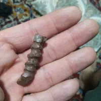 مهره تضمینی